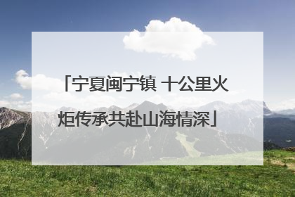 宁夏闽宁镇 十公里火炬传承共赴山海情深