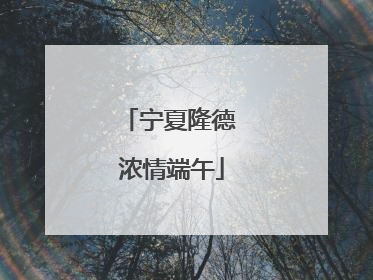 宁夏隆德 浓情端午