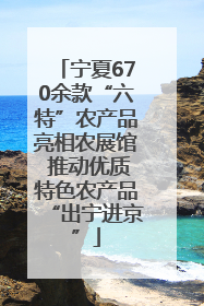 宁夏670余款“六特”农产品亮相农展馆 推动优质特色农产品“出宁进京”