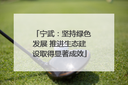 宁武：坚持绿色发展 推进生态建设取得显著成效