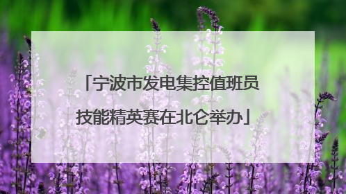 宁波市发电集控值班员技能精英赛在北仑举办