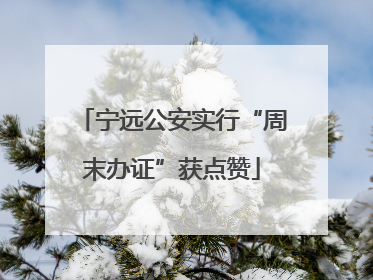 宁远公安实行“周末办证”获点赞