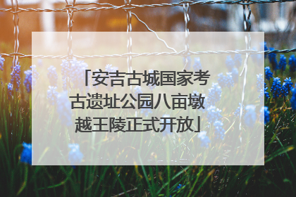 安吉古城国家考古遗址公园八亩墩越王陵正式开放