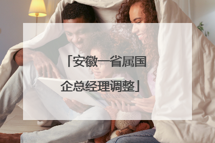 安徽一省属国企总经理调整
