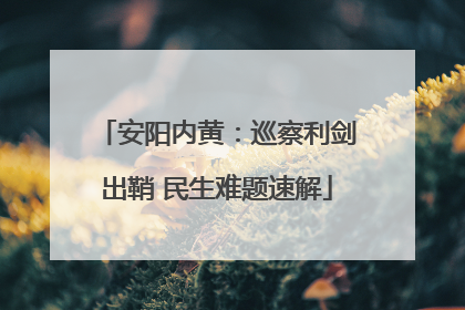 安阳内黄：巡察利剑出鞘 民生难题速解