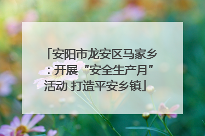 安阳市龙安区马家乡：开展“安全生产月”活动 打造平安乡镇