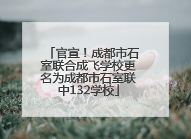 官宣！成都市石室联合成飞学校更名为成都市石室联中132学校