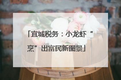 宜城税务：小龙虾“烹”出富民新图景