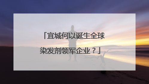 宜城何以诞生全球染发剂领军企业？
