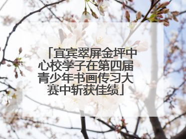 宜宾翠屏金坪中心校学子在第四届青少年书画传习大赛中斩获佳绩