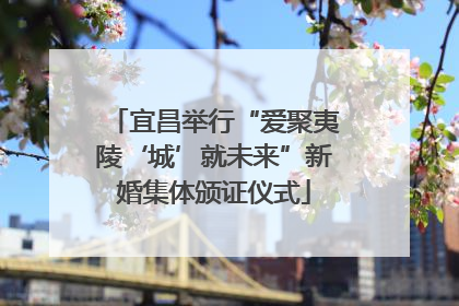 宜昌举行“爱聚夷陵‘城’就未来”新婚集体颁证仪式