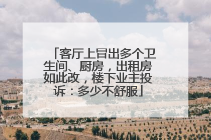 客厅上冒出多个卫生间、厨房，出租房如此改，楼下业主投诉：多少不舒服