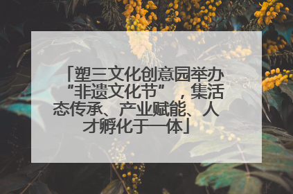 塑三文化创意园举办“非遗文化节”，集活态传承、产业赋能、人才孵化于一体