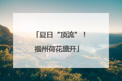 夏日“顶流”！福州荷花盛开