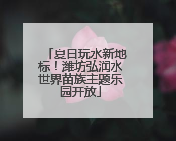 夏日玩水新地标！潍坊弘润水世界苗族主题乐园开放