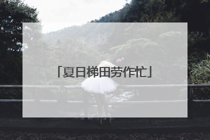夏日梯田劳作忙