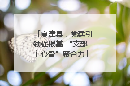 夏津县：党建引领强根基 “支部主心骨”聚合力