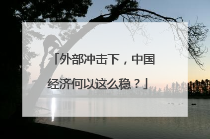 外部冲击下，中国经济何以这么稳？