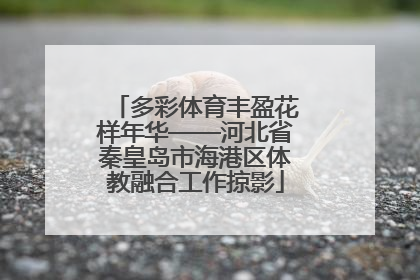 多彩体育丰盈花样年华——河北省秦皇岛市海港区体教融合工作掠影
