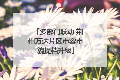 多部门联动 荆州万达片区市容市貌提档升级