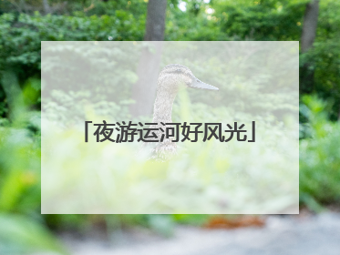 夜游运河好风光