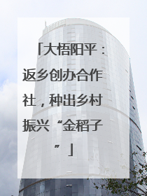 大悟阳平：返乡创办合作社，种出乡村振兴“金稻子”