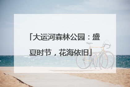 大运河森林公园：盛夏时节，花海依旧
