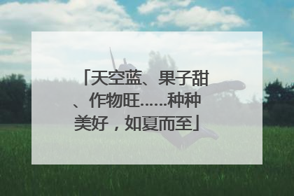 天空蓝、果子甜、作物旺……种种美好，如夏而至