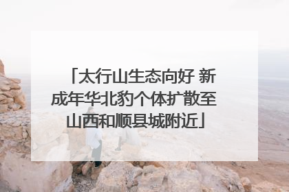 太行山生态向好 新成年华北豹个体扩散至山西和顺县城附近