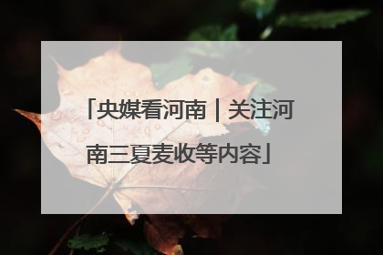 央媒看河南｜关注河南三夏麦收等内容