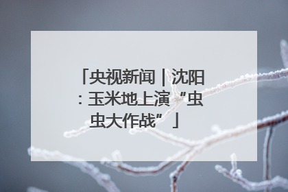 央视新闻｜沈阳：玉米地上演“虫虫大作战”