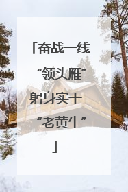 奋战一线“领头雁” 躬身实干“老黄牛”