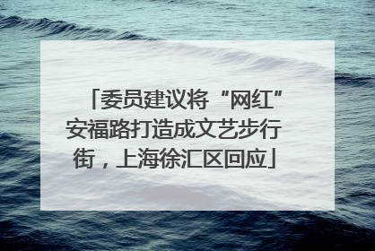 委员建议将“网红”安福路打造成文艺步行街，上海徐汇区回应