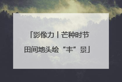影像力丨芒种时节 田间地头绘“丰”景
