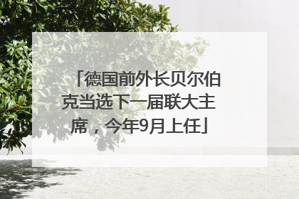 德国前外长贝尔伯克当选下一届联大主席，今年9月上任