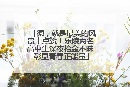 德，就是最美的风景丨点赞！乐陵两名高中生深夜拾金不昧 彰显青春正能量