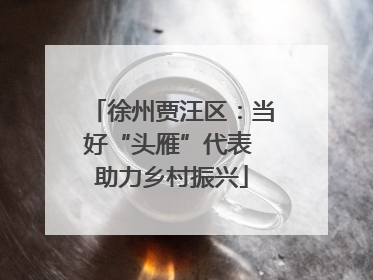 徐州贾汪区：当好“头雁”代表 助力乡村振兴