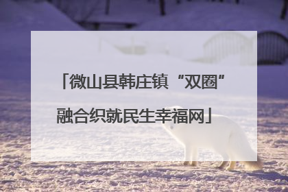 微山县韩庄镇“双圈”融合织就民生幸福网