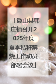 微山县韩庄镇召开2025年度夏季秸秆禁烧工作动员部署会议