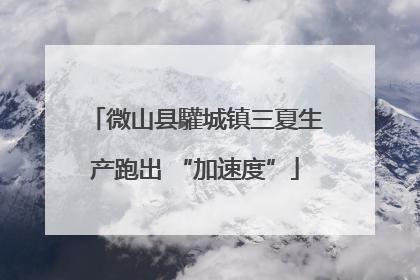 微山县驩城镇三夏生产跑出 “加速度”