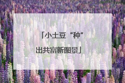 小土豆“种”出共富新图景