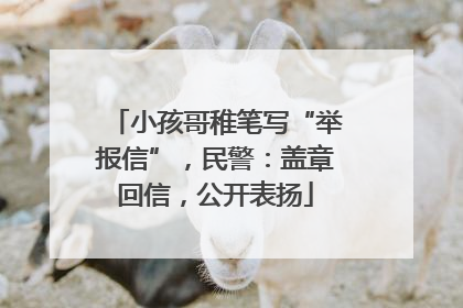 小孩哥稚笔写“举报信”，民警：盖章回信，公开表扬