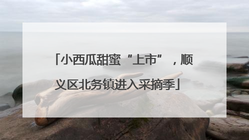 小西瓜甜蜜“上市”，顺义区北务镇进入采摘季