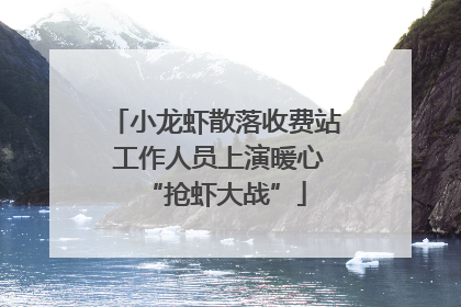 小龙虾散落收费站 工作人员上演暖心“抢虾大战”