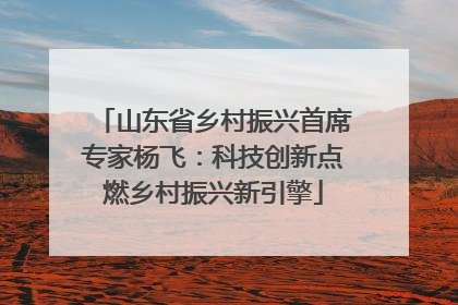 山东省乡村振兴首席专家杨飞：科技创新点燃乡村振兴新引擎