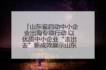 山东省启动中小企业出海专项行动 以优质中小企业“走出去”新成效展示山东产业发展新形象
