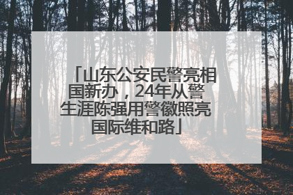 山东公安民警亮相国新办，24年从警生涯陈强用警徽照亮国际维和路