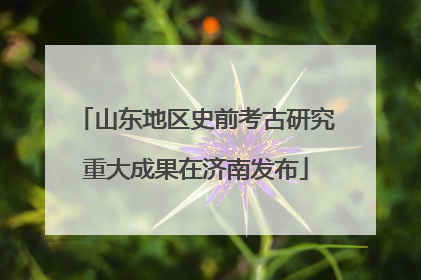 山东地区史前考古研究重大成果在济南发布