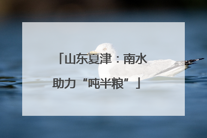 山东夏津：南水助力“吨半粮”