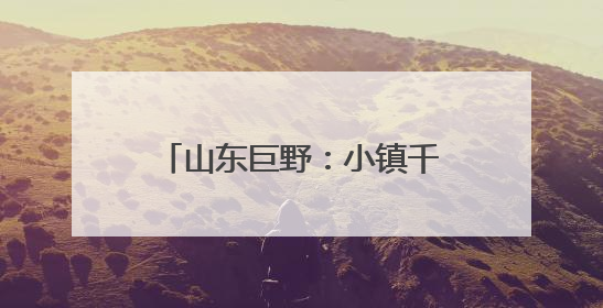 山东巨野：小镇千亩胡萝卜基地迎来“智慧大丰收”